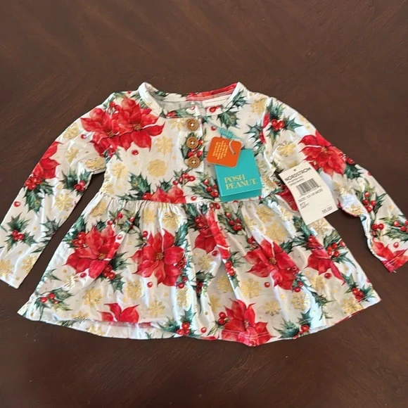 Posh Peanut Holiday Baby Dress with Red Polka Dot Bloomers size 12-18m NWT - Picture 2 of 4